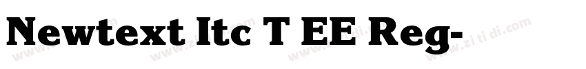 Newtext Itc T EE Reg字体转换